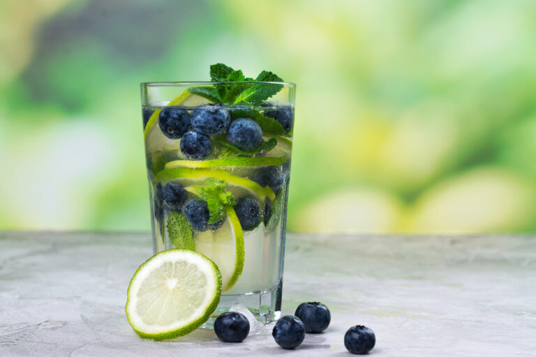 Blueberry Mojito Recipe